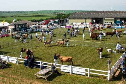 Five arrests made during the Royal Cornwall Show