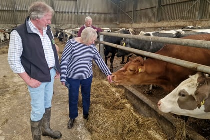 Sheryll Murray: Farmers are still facing increased costs