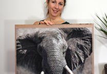 Wildlife artist shortlisted for internationally renowned award