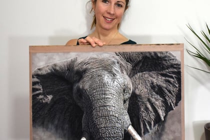 Wildlife artist shortlisted for internationally renowned award