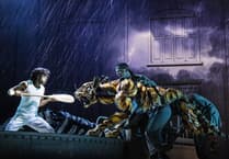 Review: Life of Pi, Hall For Cornwall 