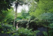 Lost Gardens of Heligan goes big with launch of new jungle adventure trail