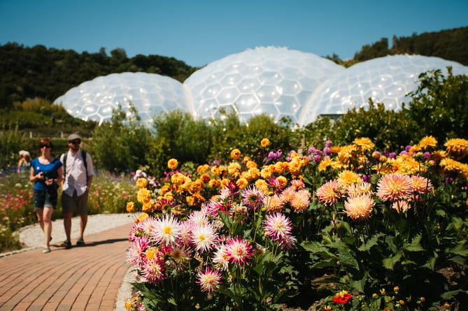 The outdoor gardens and biome at the Eden Project
