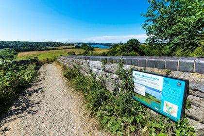 People invited to join free weekly walks in the Tamar Valley