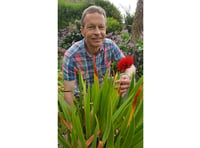 Voice gardening correspondent to hold plant sale - and offer tips