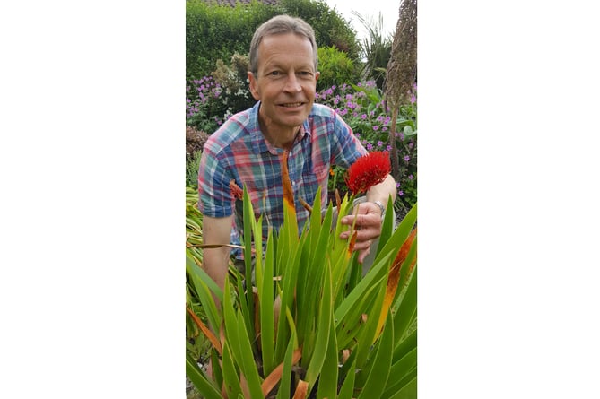 Voice gardening correspondent Martin Pallett with one of his plants.