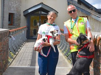 Couple walk 1,000 miles from Switzerland to Cornwall