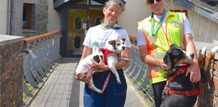 Couple walk 1,000 miles from Switzerland to Cornwall