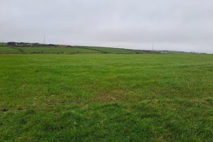 Land with potential in Redruth set for auction
