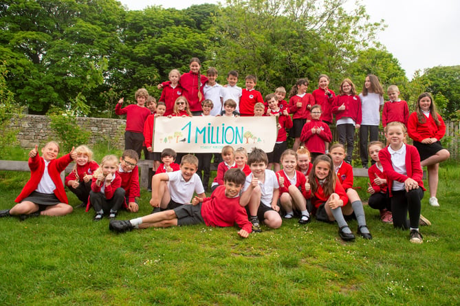 Pupils and staff have planted a mini-forest to boost learning about nature.