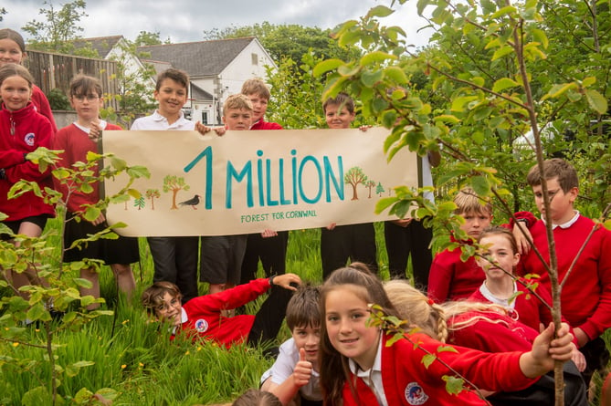 Stithians School: Pupils and staff have planted a mini-forest 