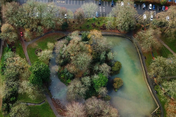 Priory Park pond.jpg