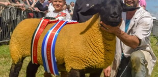 Record attendance for this year's Liskeard Show