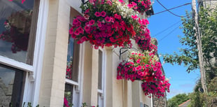 Gardeners recognised for their cultivation creations