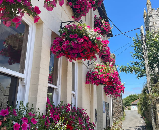 Gardeners recognised for their cultivation creations