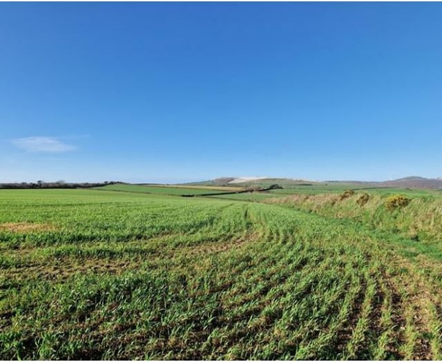 Plan for giant solar farm on fields between Truro and St Austell