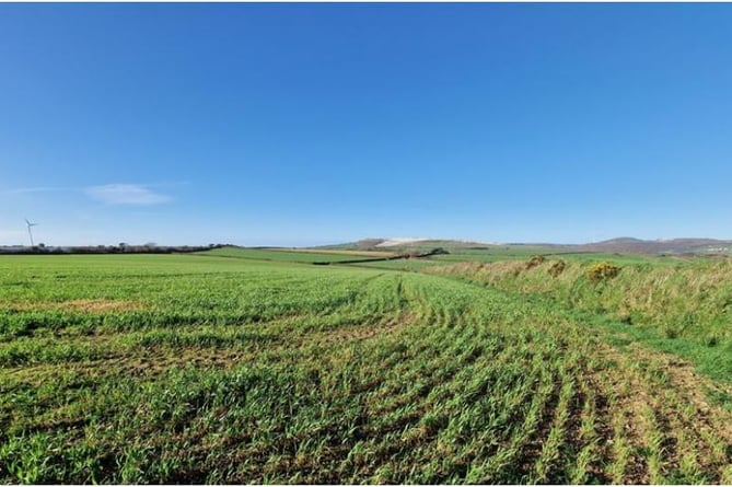 A field where the solar farm would be sited