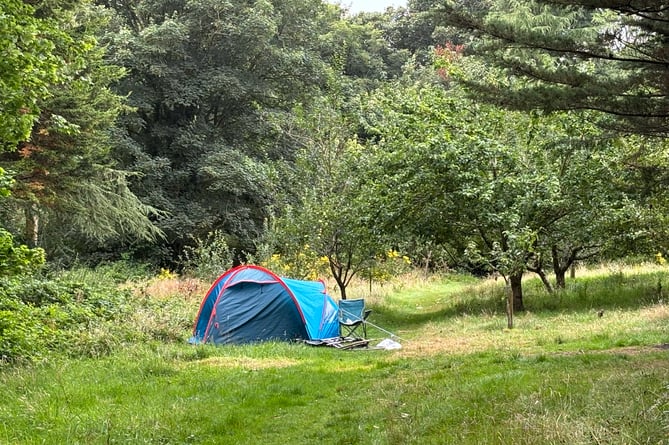 A tent has been put up in the middle of the community orchard