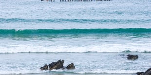 Memorial paddle out held for surfing pioneer