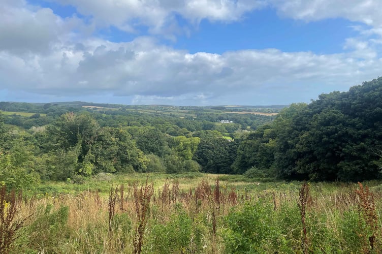 UNDER HAMMER - Land at Tredavoe Farm, Penzance