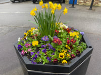 Floral displays hailed a huge success