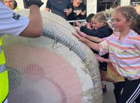 People of all ages roll up to take part in charity bale push