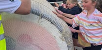 People of all ages roll up to take part in charity bale push