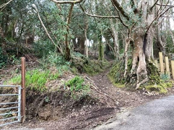 The bridleway close to the intended development near Perranarworthal