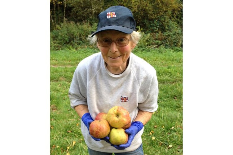 Harvesting apples from the garden. (Picture: Lizzy Stroud)