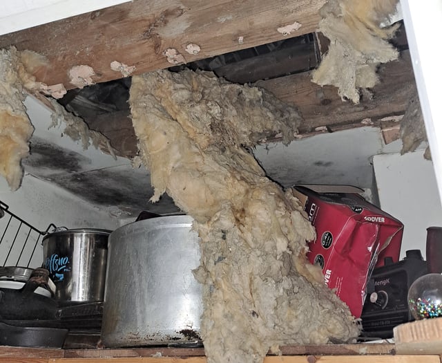 Filthy restaurant with rat infestation to pay £4,646 for breaches