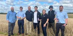 Brewery hails a good barley harvest in Cornwall