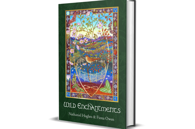 Wild enchantments book