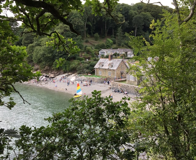 River Helford is a haven for wildlife and a special place to visit