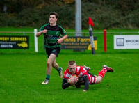 Eight-try Saints slice through Ivybridge in big home win