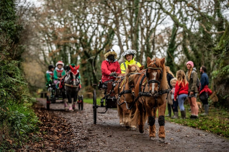 Carmenellis Pony Club at Penrose. Credit Media Memories-Photography