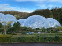 Eden Project appoints new director of horticulture