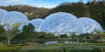 Eden Project appoints new director of horticulture