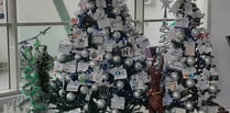 Businesses decorate Christmas tree to raise money for charity