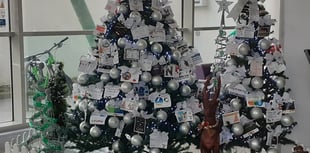 Businesses decorate Christmas tree to raise money for charity