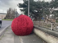 Bouncing bauble escapes from Truro roundabout during Storm Darragh