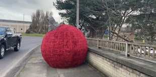 Bouncing bauble escapes from Truro roundabout during Storm Darragh