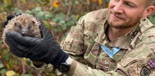 RAF St Mawgan helping hedgehog population to flourish