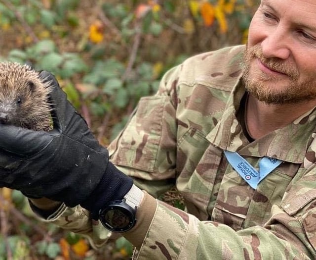 RAF St Mawgan helping hedgehog population to flourish