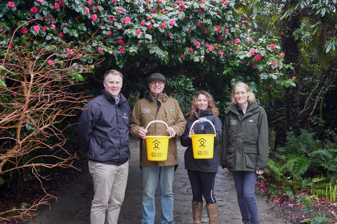 Heligan and St Petrocs Team Members beneath Camellia at The Lost Gardens of Heligan.