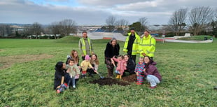 Children help plant ‘knowledge tree’