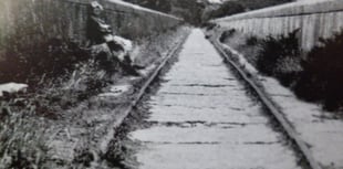 Barrie Doney: The viaduct on the Treffry Tramway