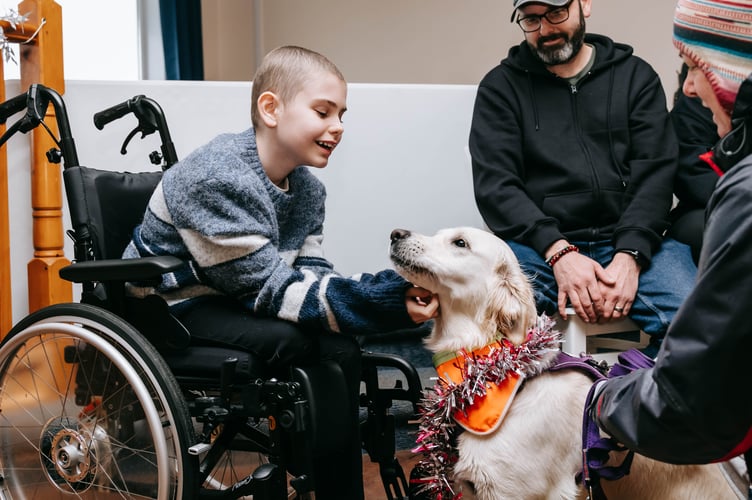 Ellie's wish was to have lots of golden retrievers around her to cuddle and play with