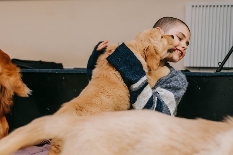 Ellie's wish was to have lots of golden retrievers around her to cuddle and play with