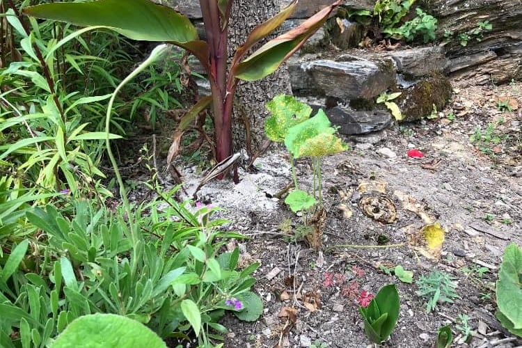 Human ashes discovered at Truro's Sunny Corner