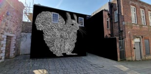 Redruth set to be home of the first ‘Ark of Extinction’ mural